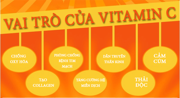 vai-tro-cua-vitamin-C(1)